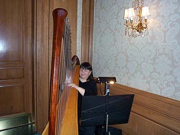 DCP00339